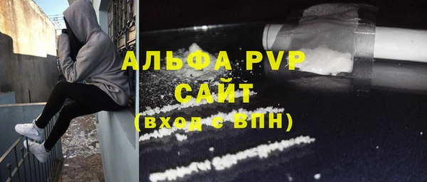 СК Дмитровск