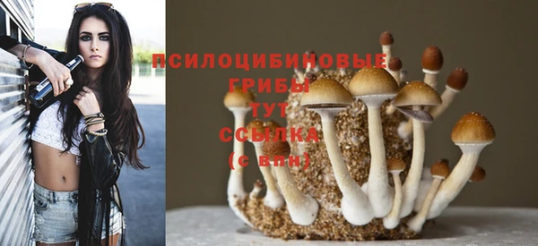 прущая мука Дмитриев