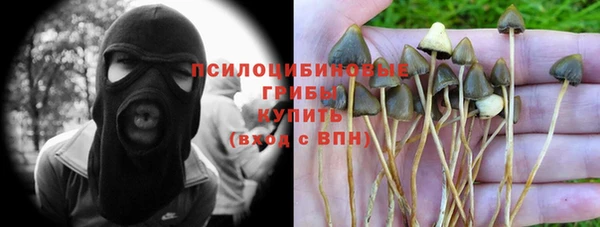 таблы Дмитров