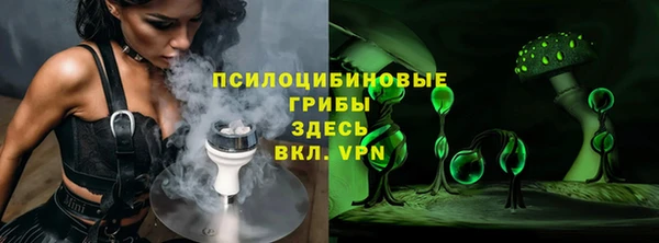mdpv Горняк