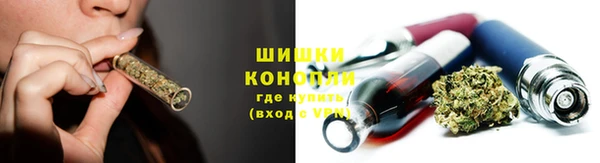 СК Дмитровск