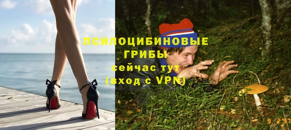 СК Дмитровск