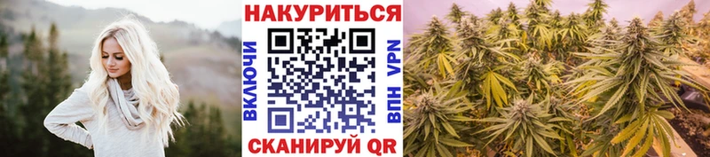 Купить закладки  Каменногорск  Каннабис White Widow 